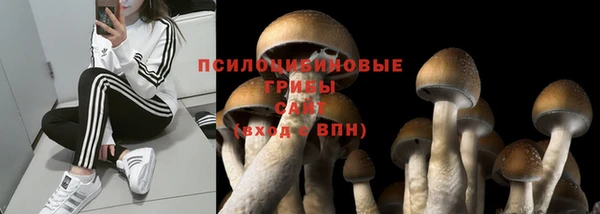 spice Белокуриха
