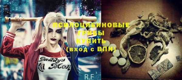 spice Белокуриха